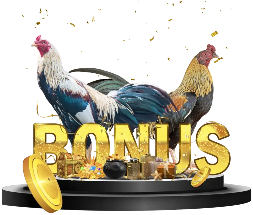 cockfighting-bonus